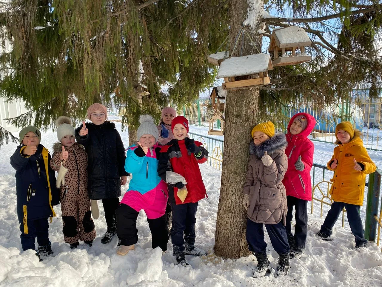 «Кошларны саклагыз» программасы