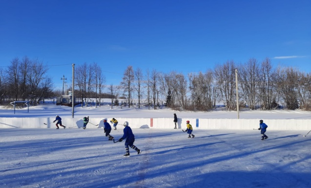 Яшүсмерләр арасында алкалы хоккей буенча яңа ел турниры