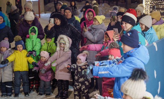 Кышкы фантазия