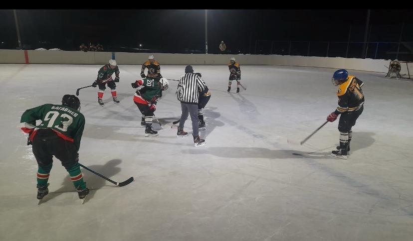 Бозлы фестиваль