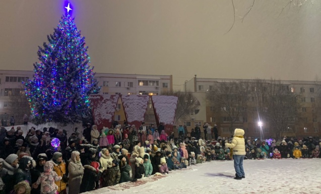 Шишкин бульварында чыршы ачу