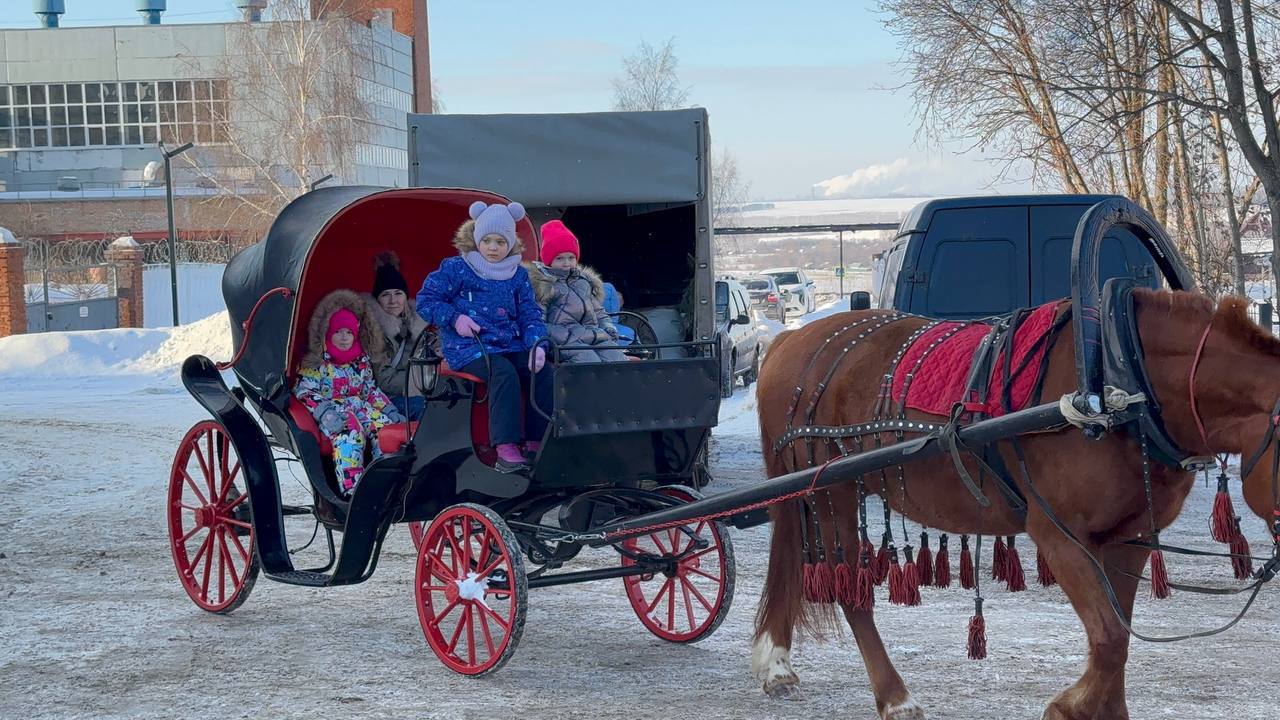 Развлекательная программа «Снежные приключения»