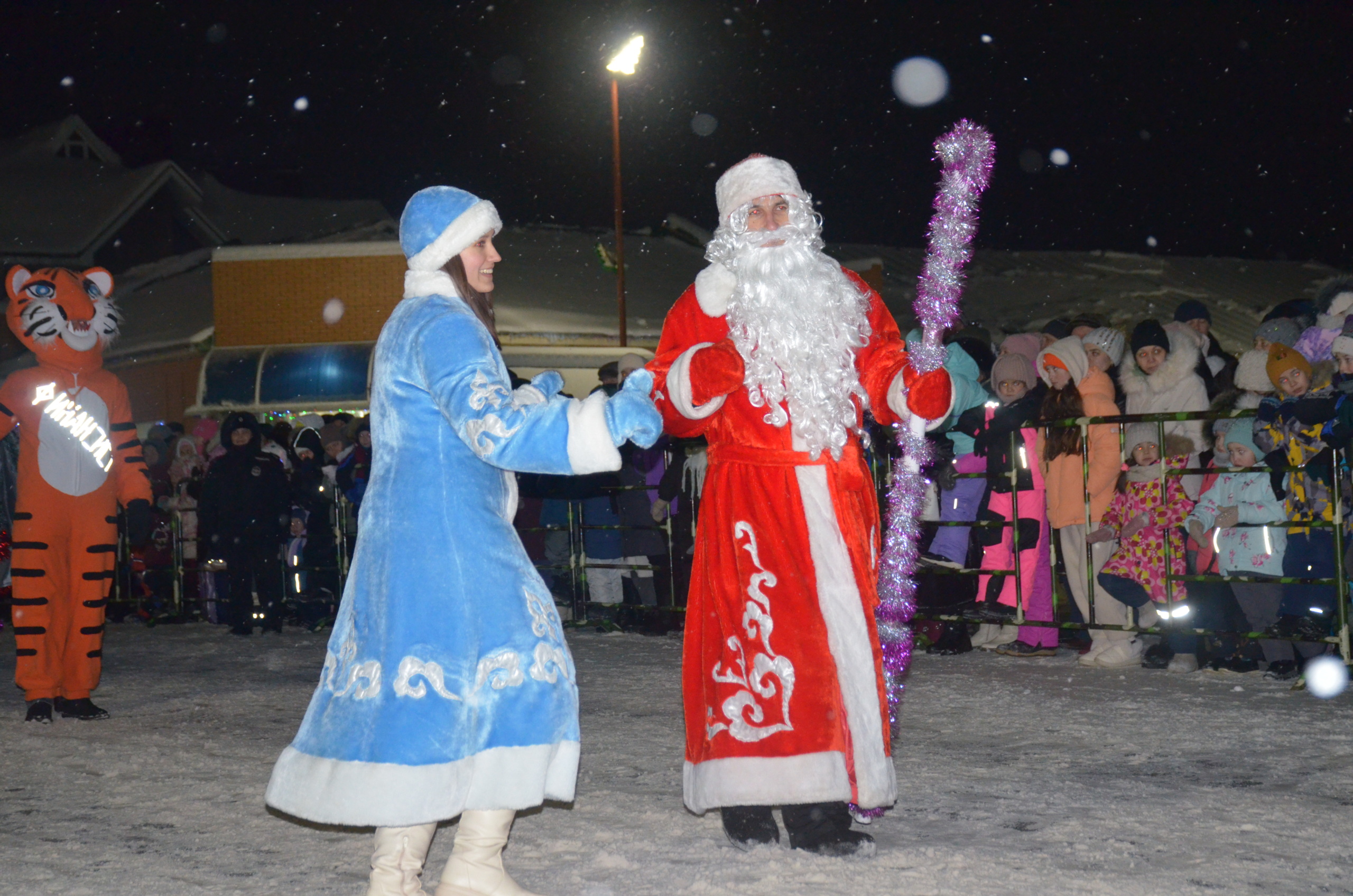 print_9317479_6919483