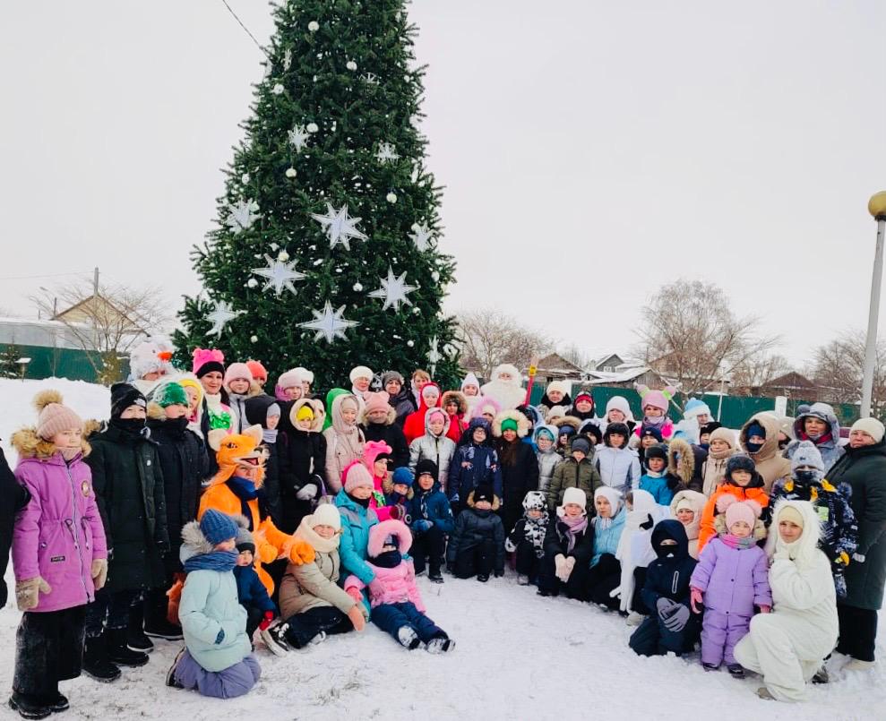 Торжественное открытие Главной елки