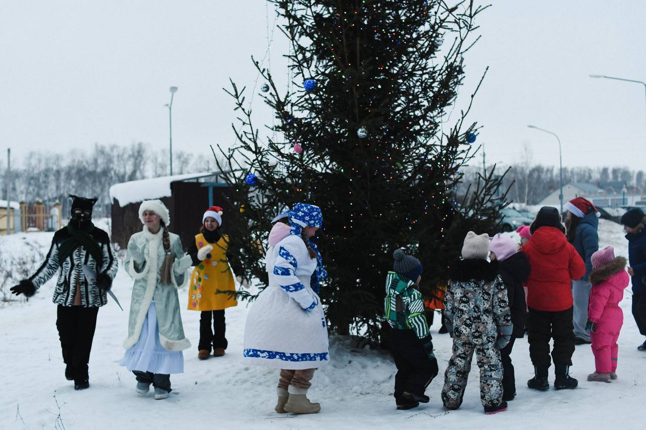 «Когда зажигаются Ёлки»