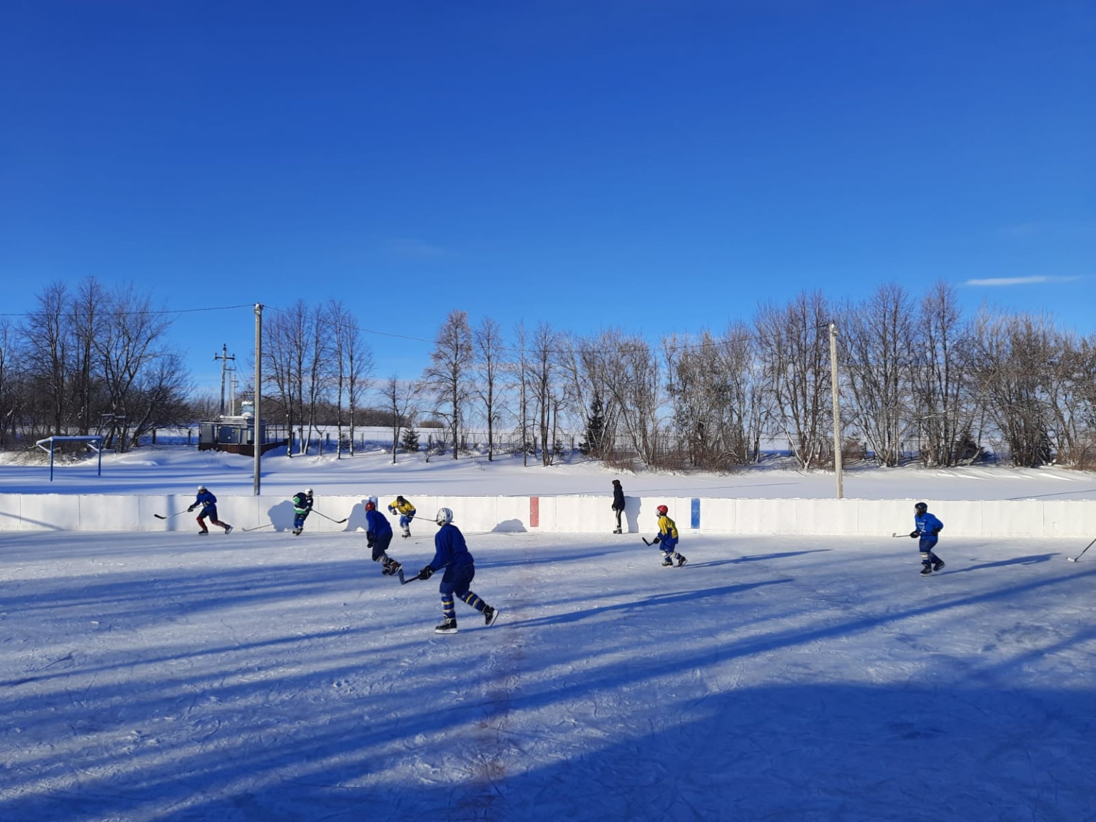 Соревнования по хоккею с шайбой среди юношей общеобразовательных учреждений