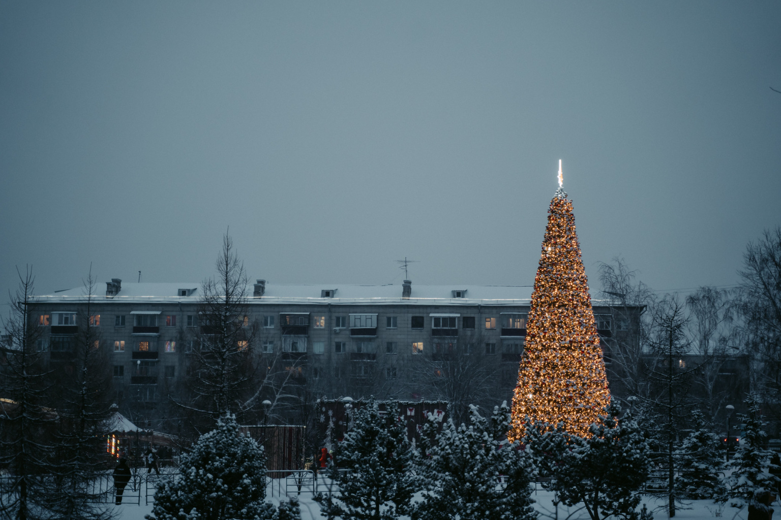 Утлар белән балкып тор, чыршы