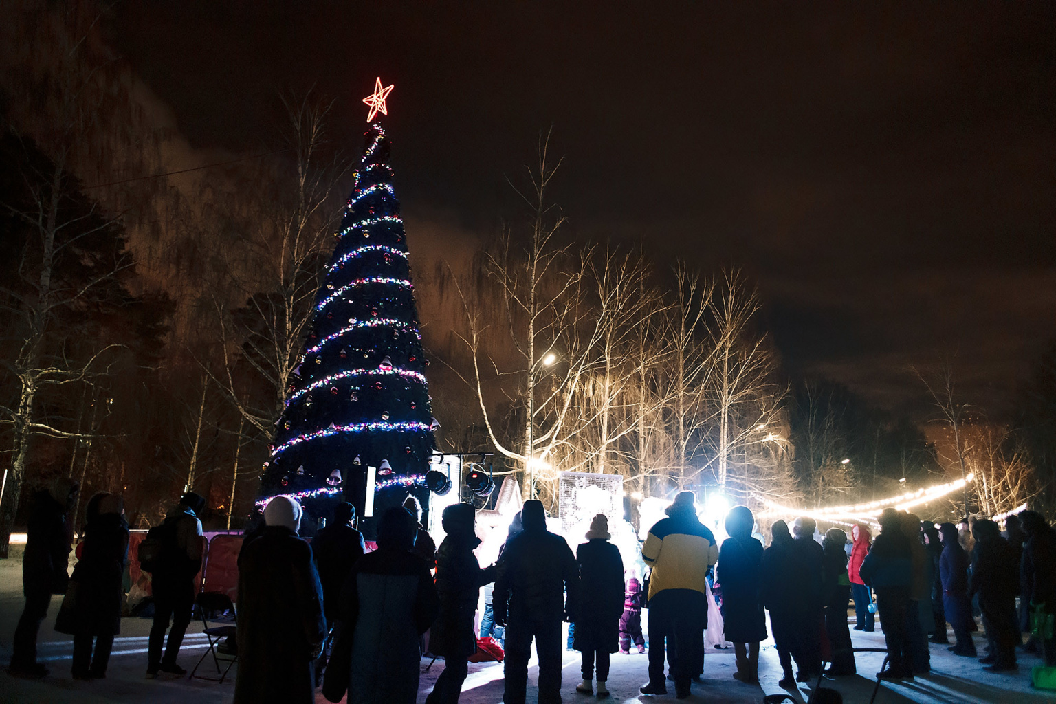 Новый 2026 год