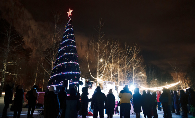 Новый 2026 год