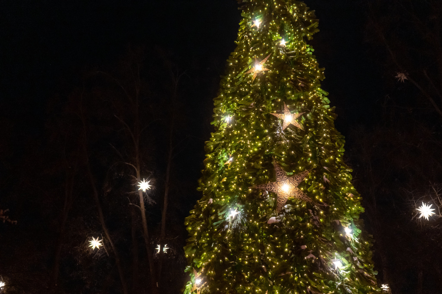 Волшебные искры Нового года