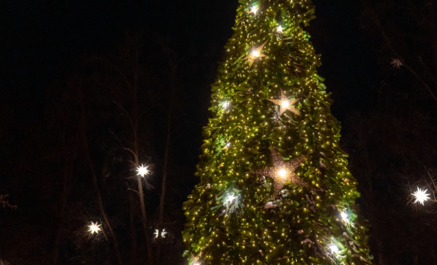 Волшебные искры Нового года