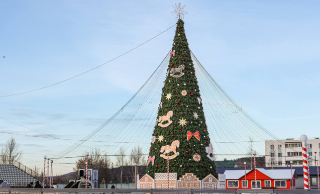 Төп шәһәр чыршысын ачу