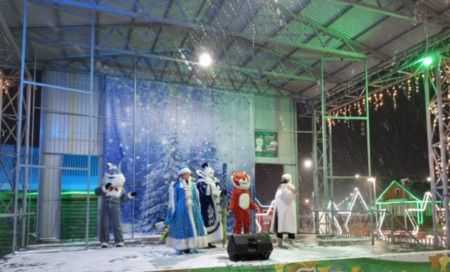 Новогоднее представление