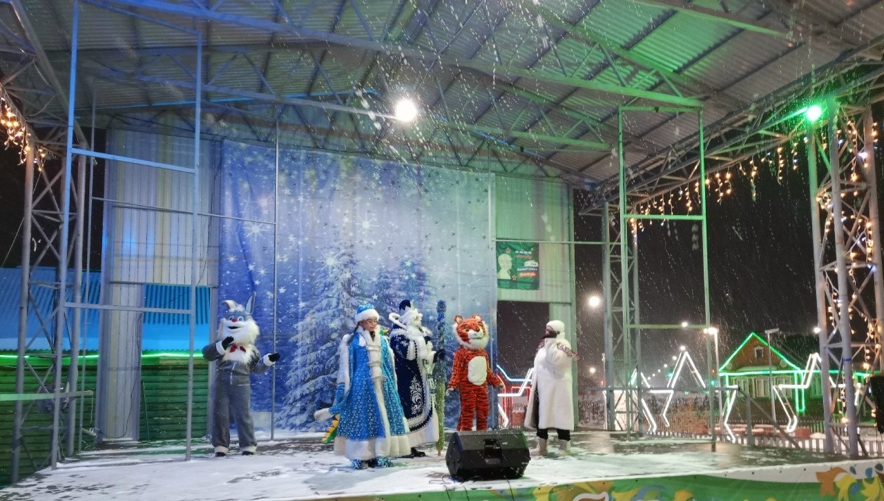 Новогоднее представление