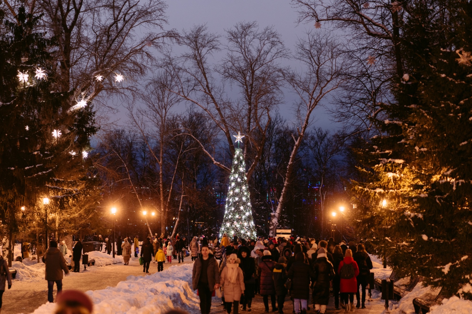Открытие елки в парке им. Горького