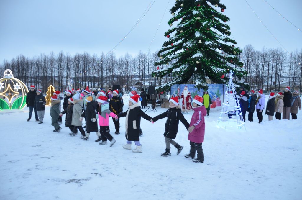 Торжественное открытие Центральной Новогодней ёлки.