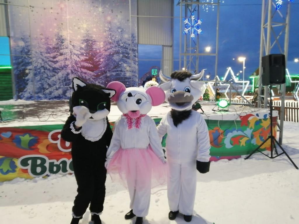 Открытие Новогодней ёлки