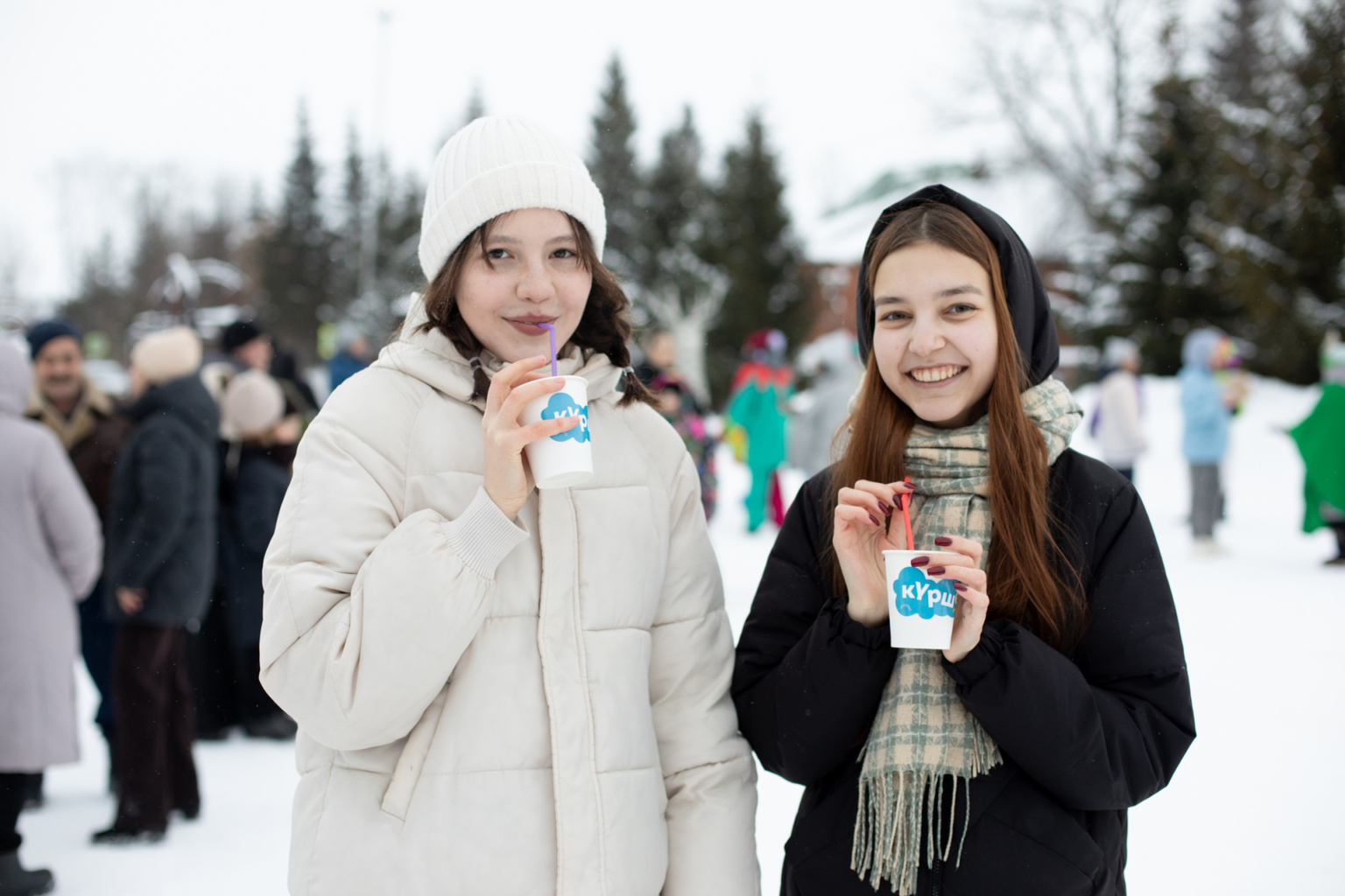 Семейный пикник «Снегоик – фест»