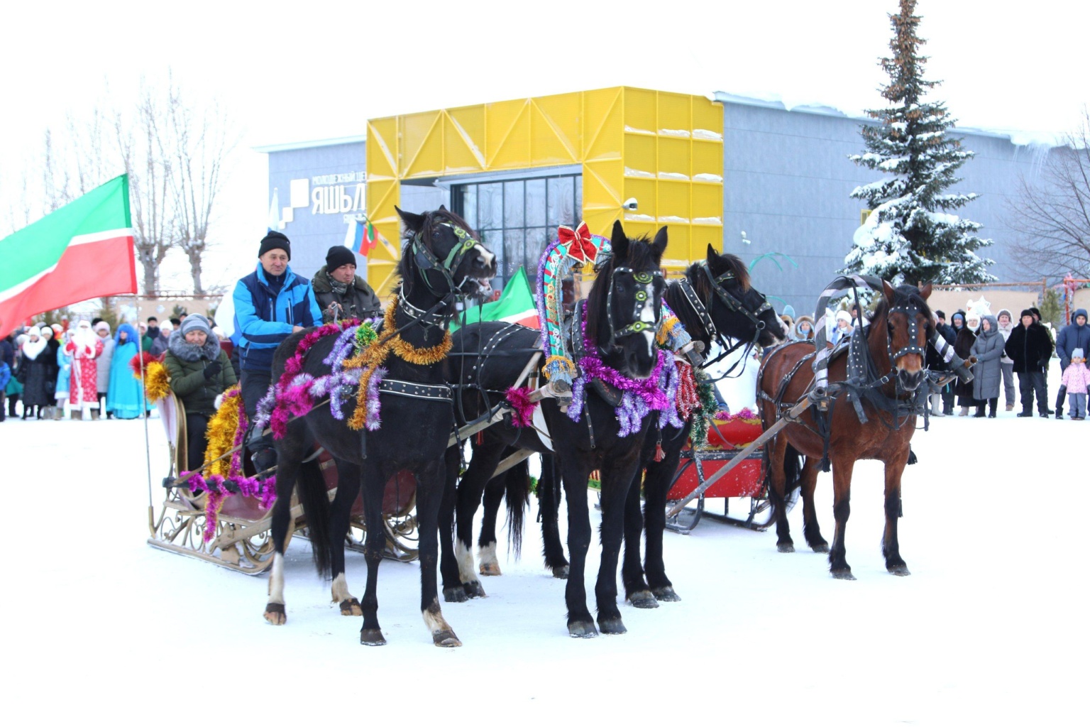 Сказочное путешествие на новогодних тройках!