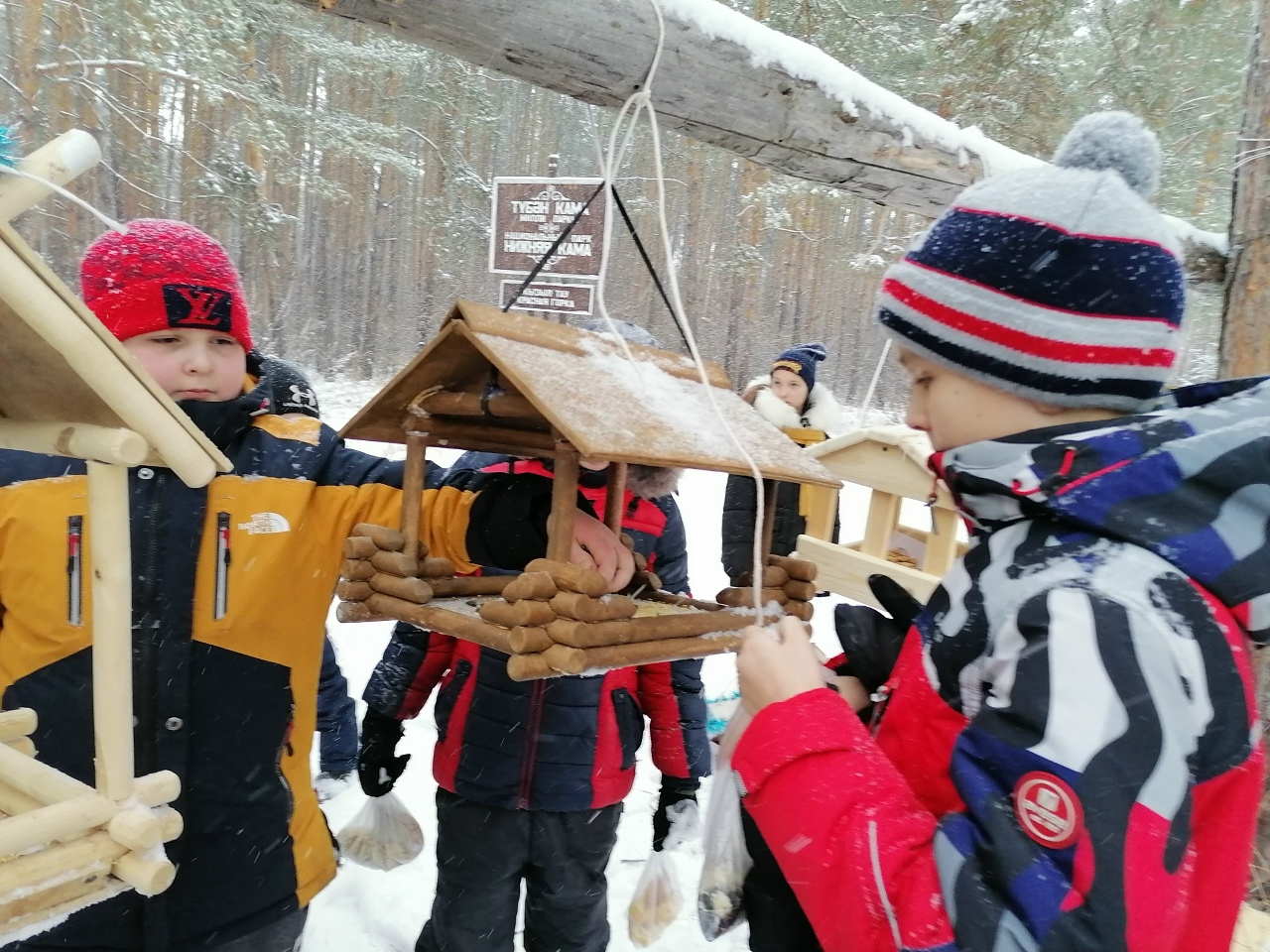 Познавательное мероприятие «Покормим птиц зимой»