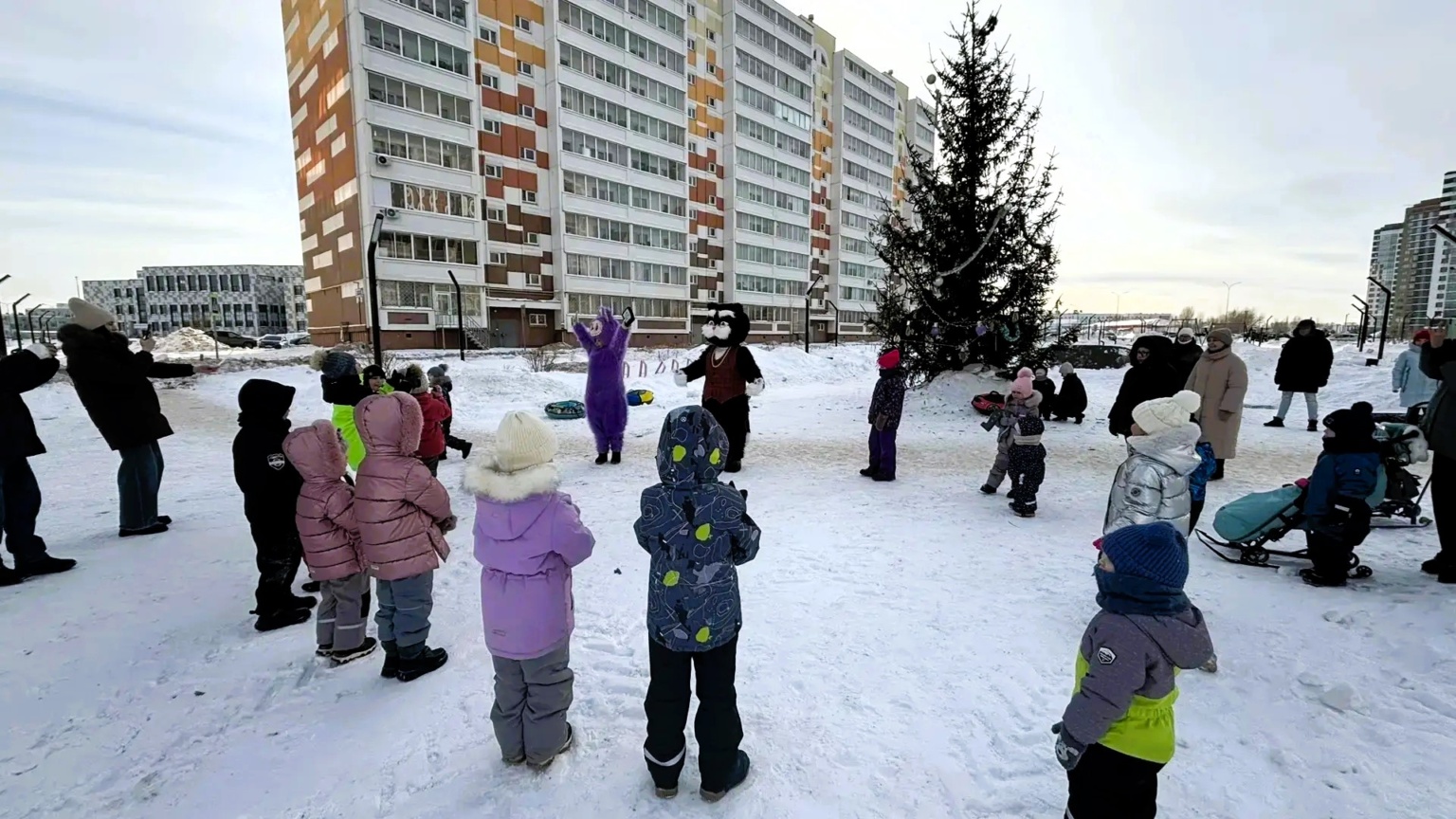 Зимний переполох