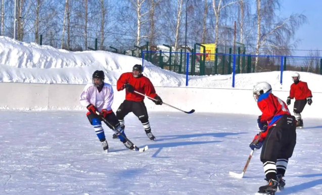 Турнир по хоккею с шайбой
