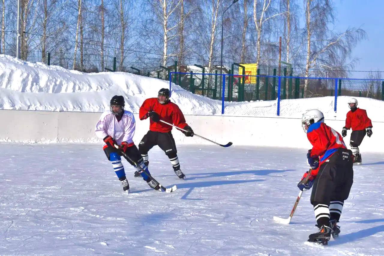 Турнир по хоккею с шайбой