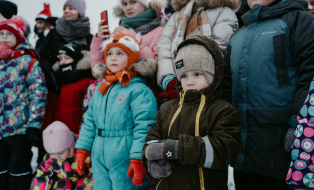Волшебство зимы