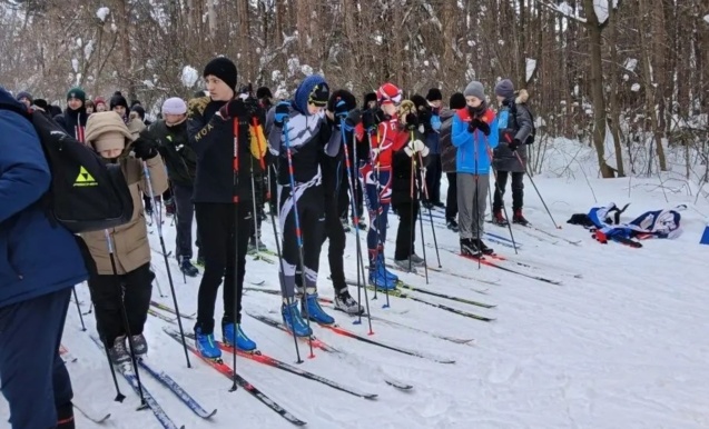 Лыжные гонки